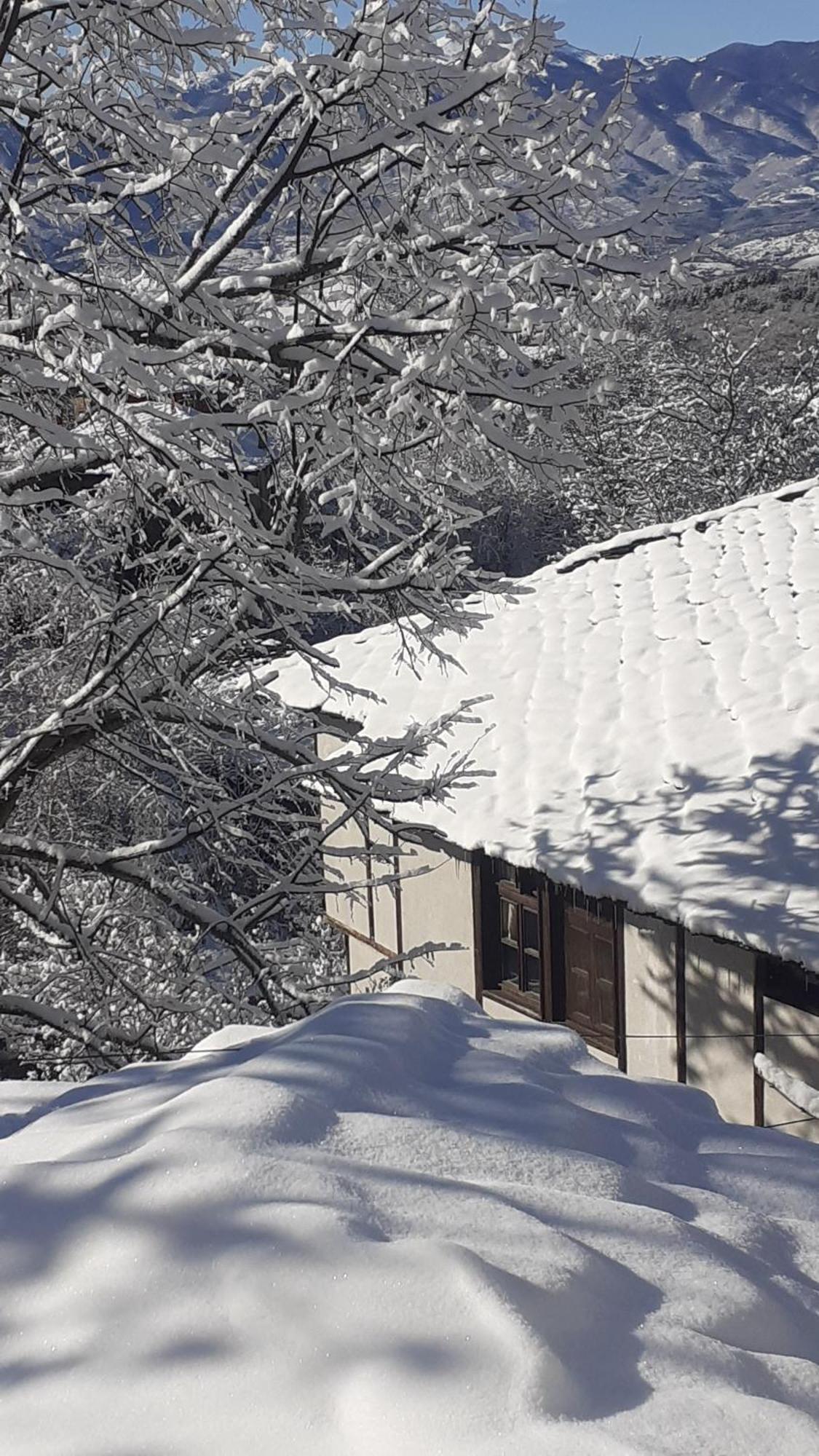 Къща За Гости Близнаците Leshten Εξωτερικό φωτογραφία